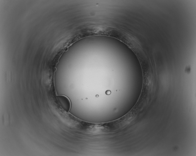 X0000116770607200912171535