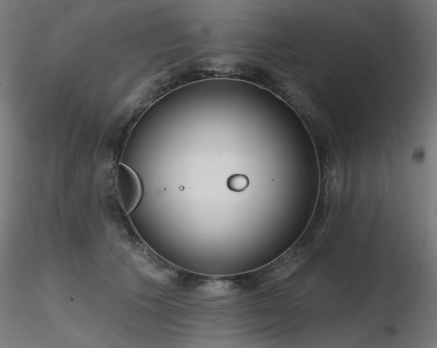 X0000116770609200912171535