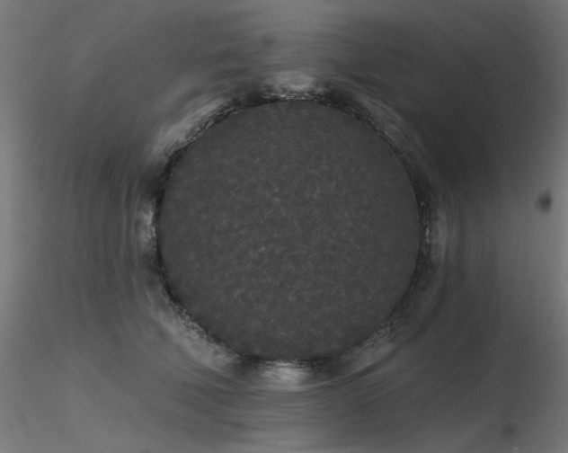 X0000116770610200912171535