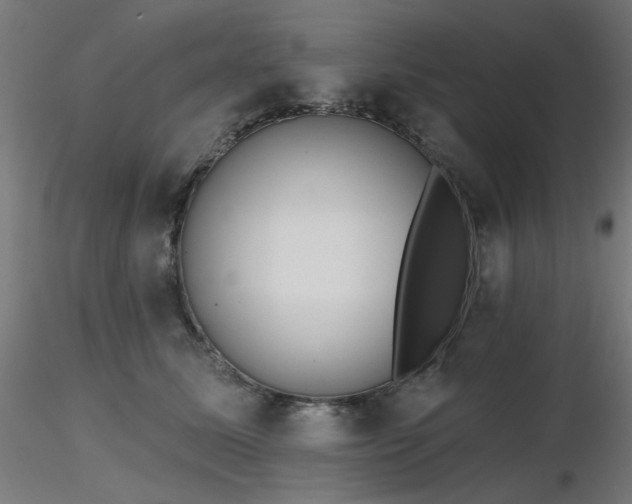 X0000116770611200912171535
