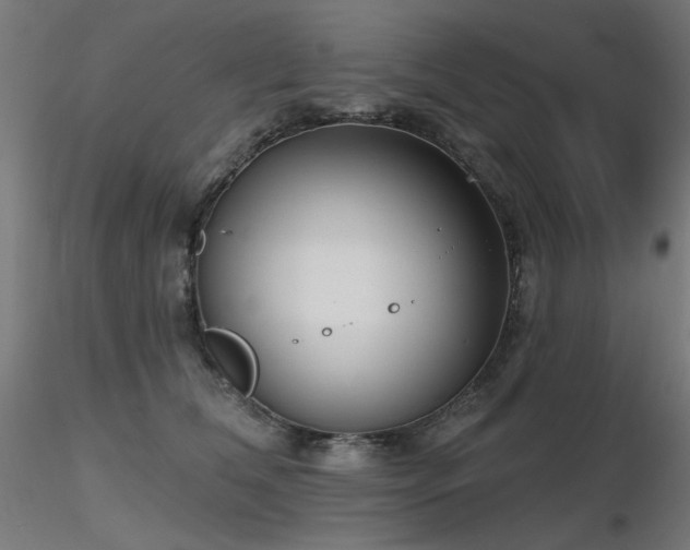 X0000116770612200912171535