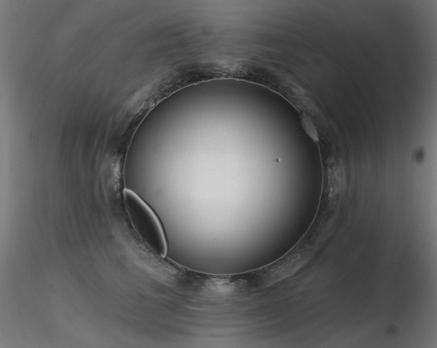 X0000116770613200912171535