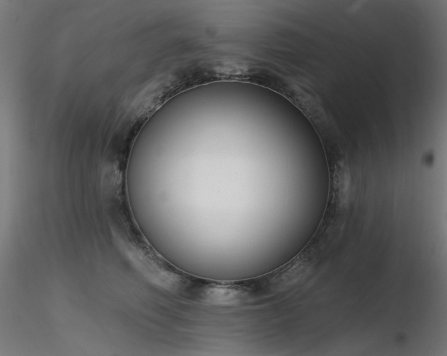 X0000116770614200912171535