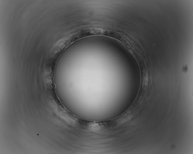 X0000116770616200912171535
