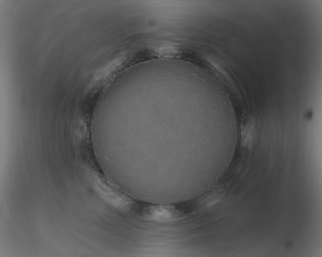 X0000116770618200912171535