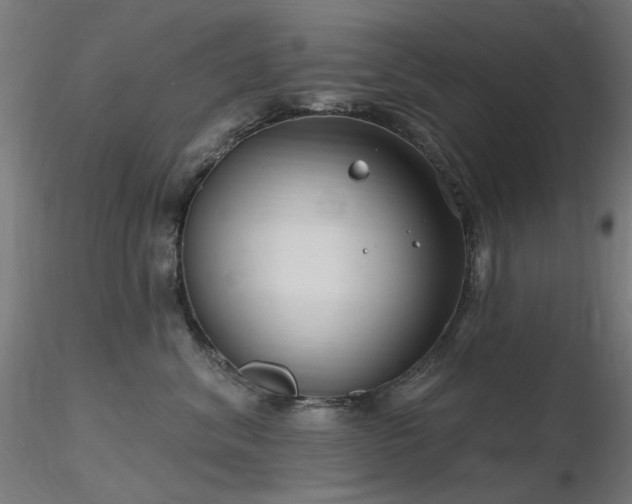 X0000116770620200912171535