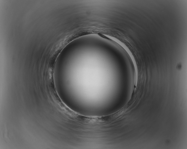 X0000116770621200912171535