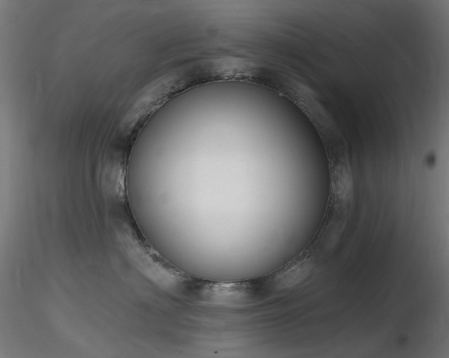 X0000116770622200912171535