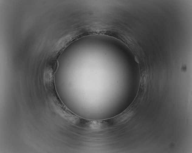 X0000116770623200912171535