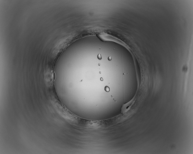 X0000116770624200912171535