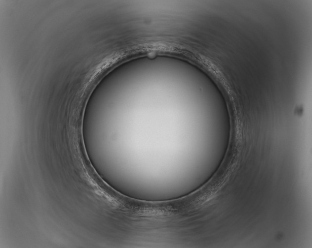 X0000116770625200912171534