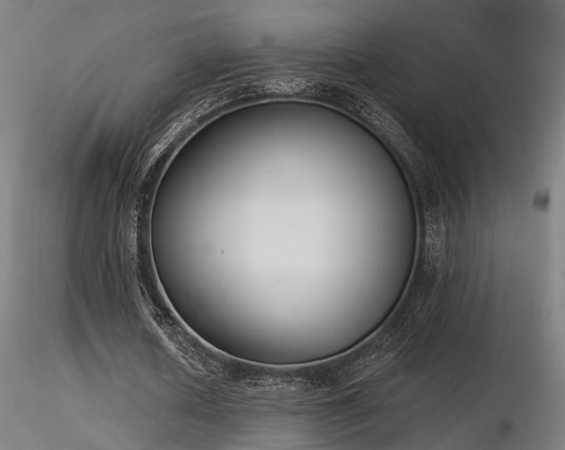 X0000116770626200912171534