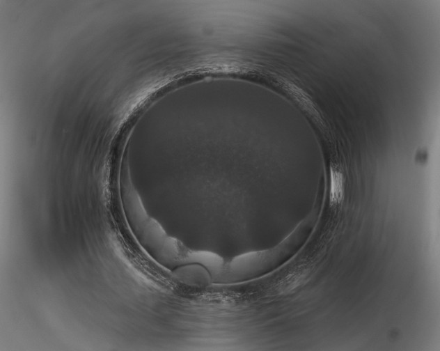 X0000116770627200912171534