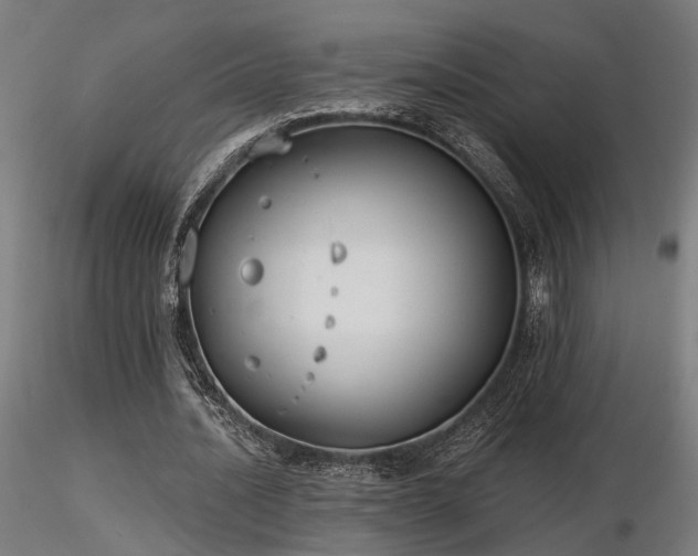 X0000116770628200912171534