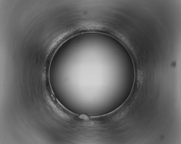 X0000116770629200912171534