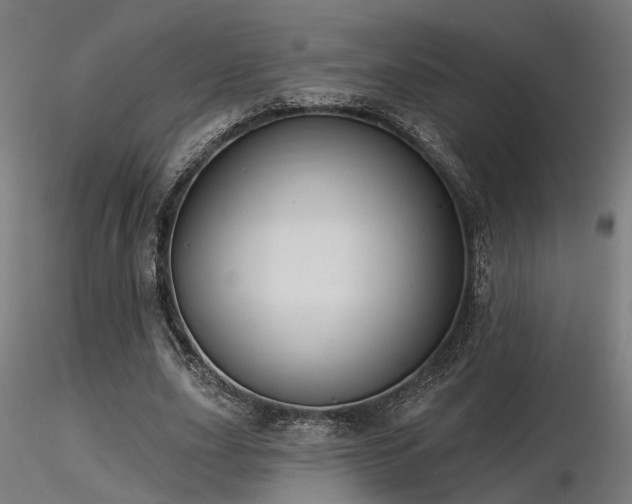 X0000116770631200912171534
