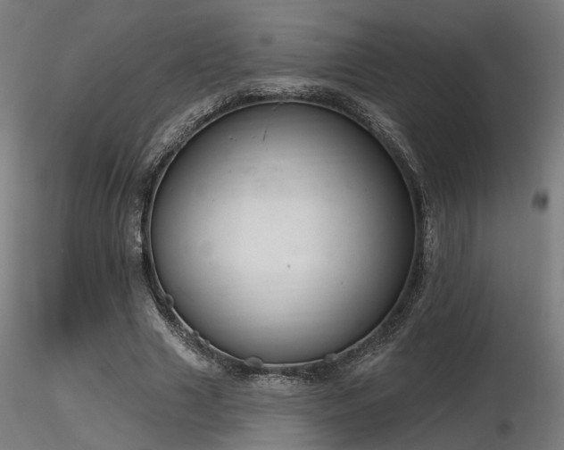 X0000116770633200912171534