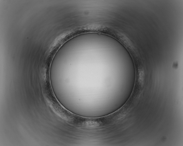 X0000116770636200912171534