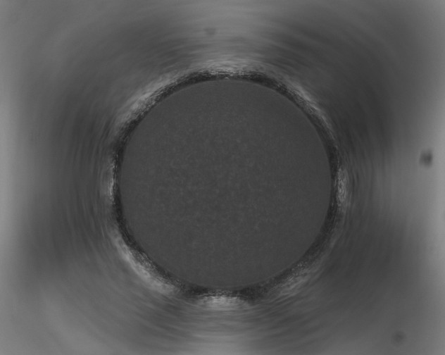 X0000116770637200912171534