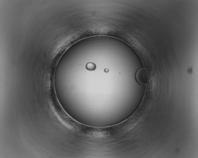 X0000116770638200912171534