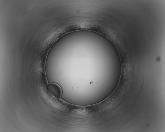 X0000116770639200912171534