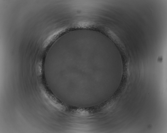 X0000116770640200912171534