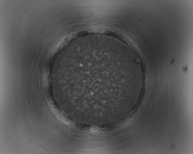 X0000116770641200912171534