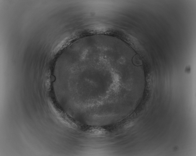 X0000116770642200912171534