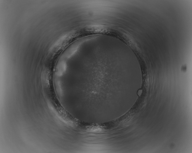 X0000116770643200912171534