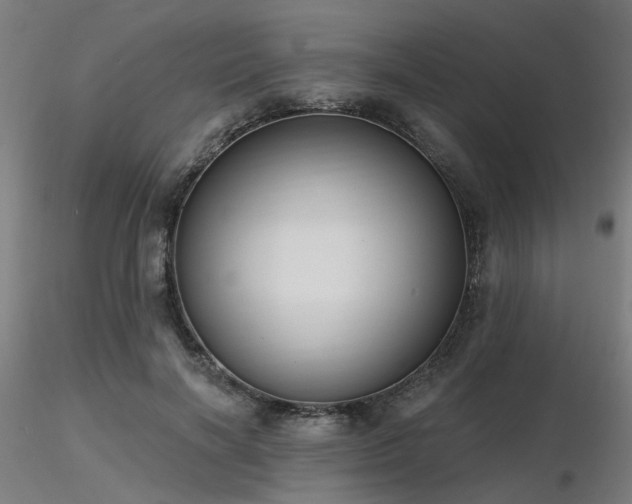 X0000116770646200912171534
