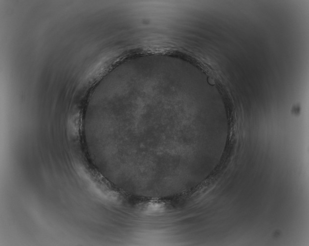 X0000116770647200912171534