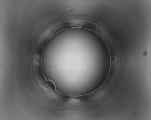 X0000116770649200912171534