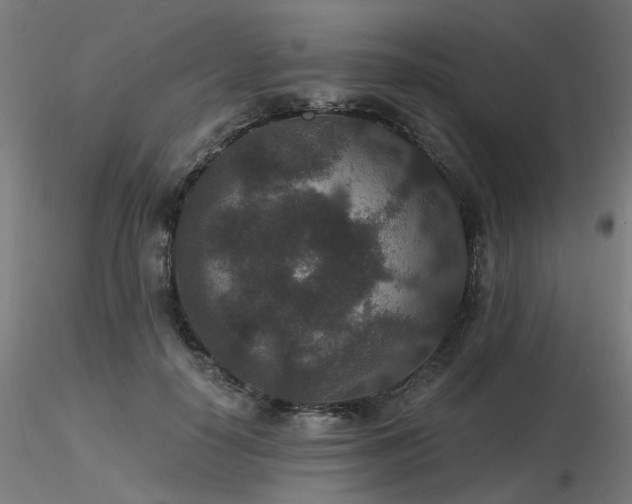 X0000116770650200912171534