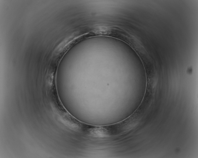 X0000116770652200912171534