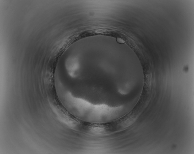 X0000116770653200912171534