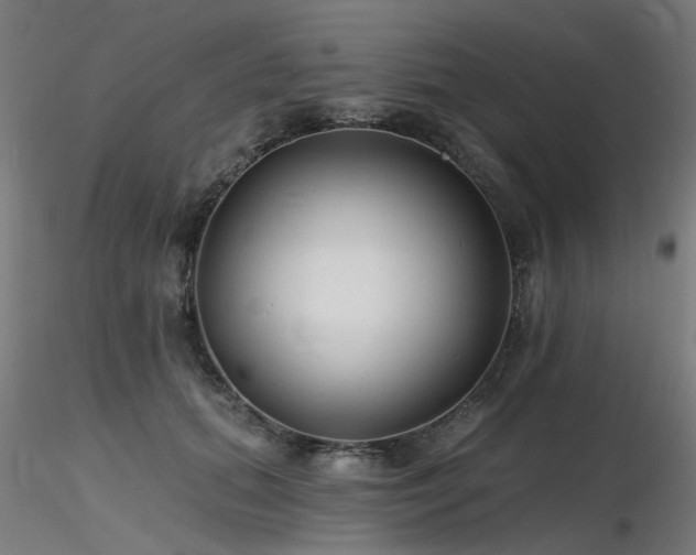 X0000116770655200912171534