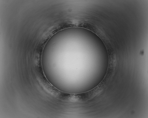 X0000116770656200912171534