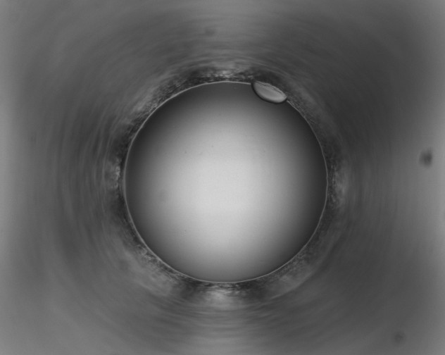 X0000116770657200912171534