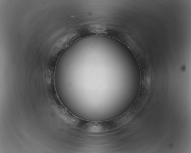 X0000116770658200912171535