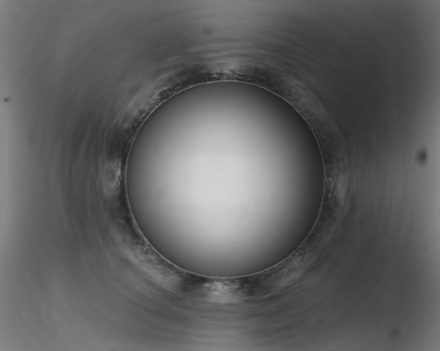X0000116770660200912171535