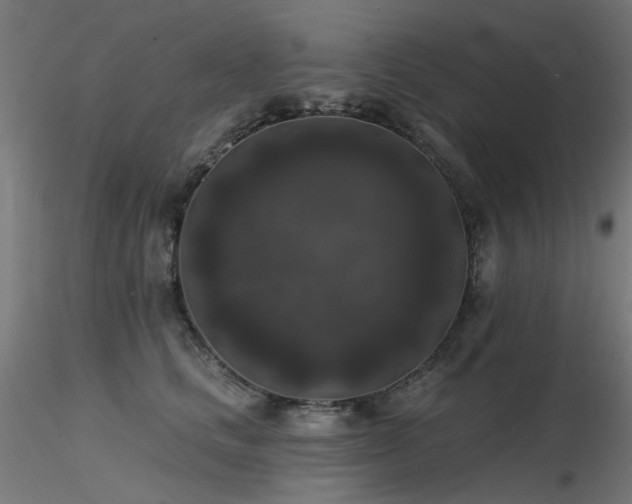 X0000116770661200912171535