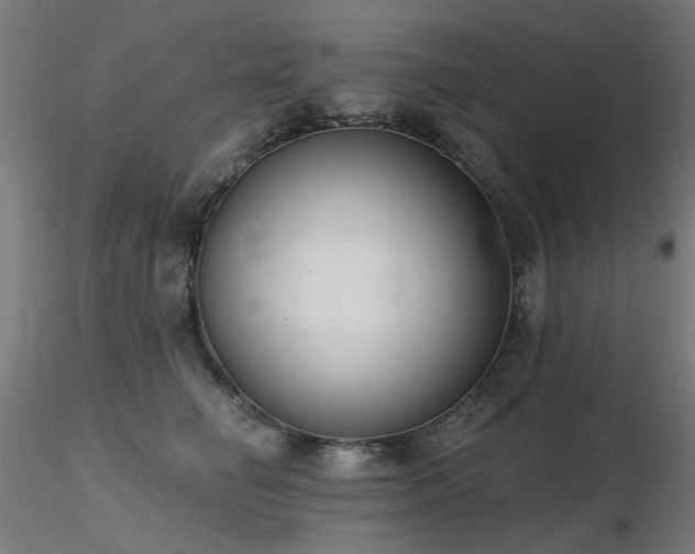 X0000116770662200912171535