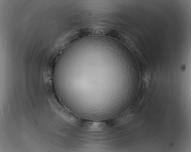 X0000116770663200912171535