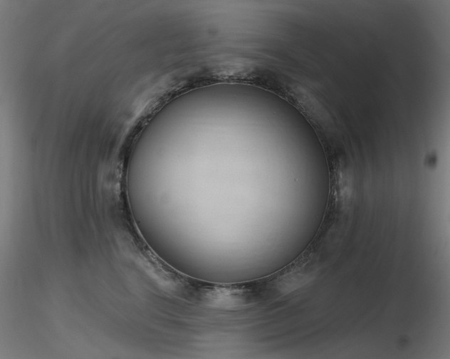 X0000116770664200912171535