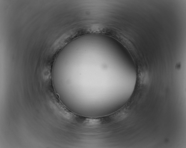 X0000116770665200912171535