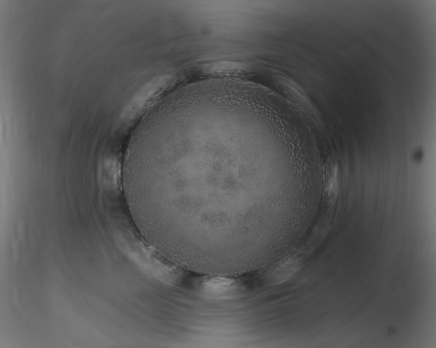 X0000116770669200912171535