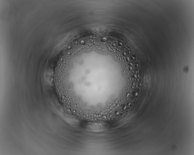 X0000116770671200912171535