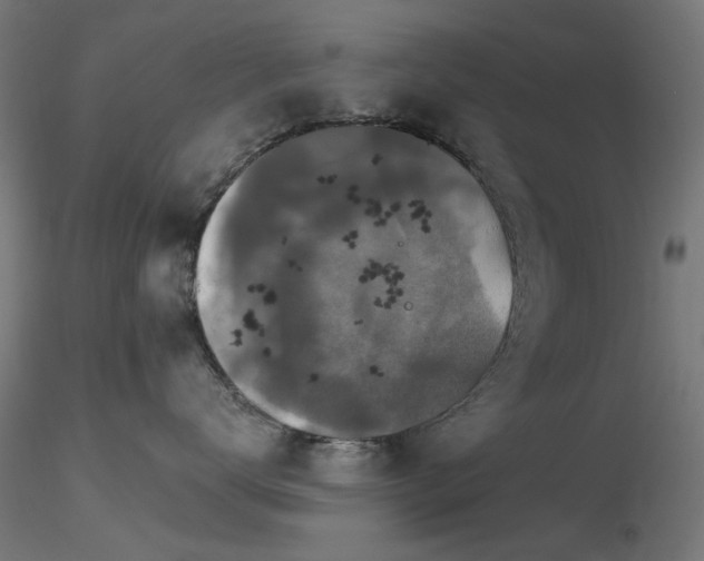 X0000116770672200912171535