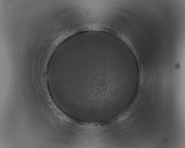 X0000116770673200912171534