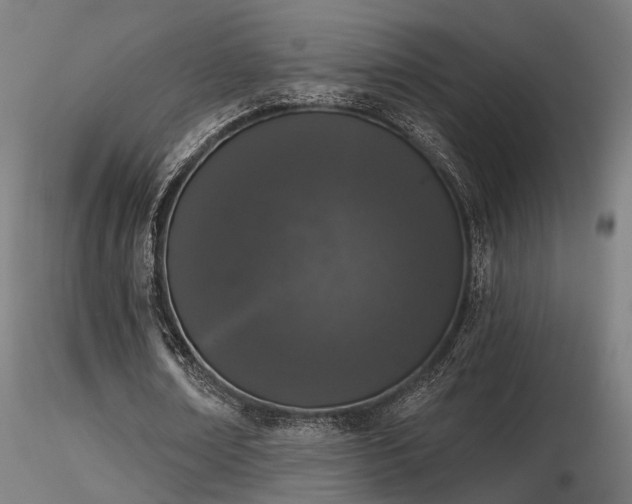 X0000116770674200912171534